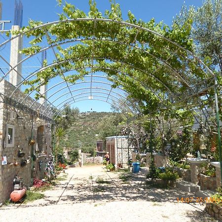 Apartments Cerro Ksamil Dış mekan fotoğraf