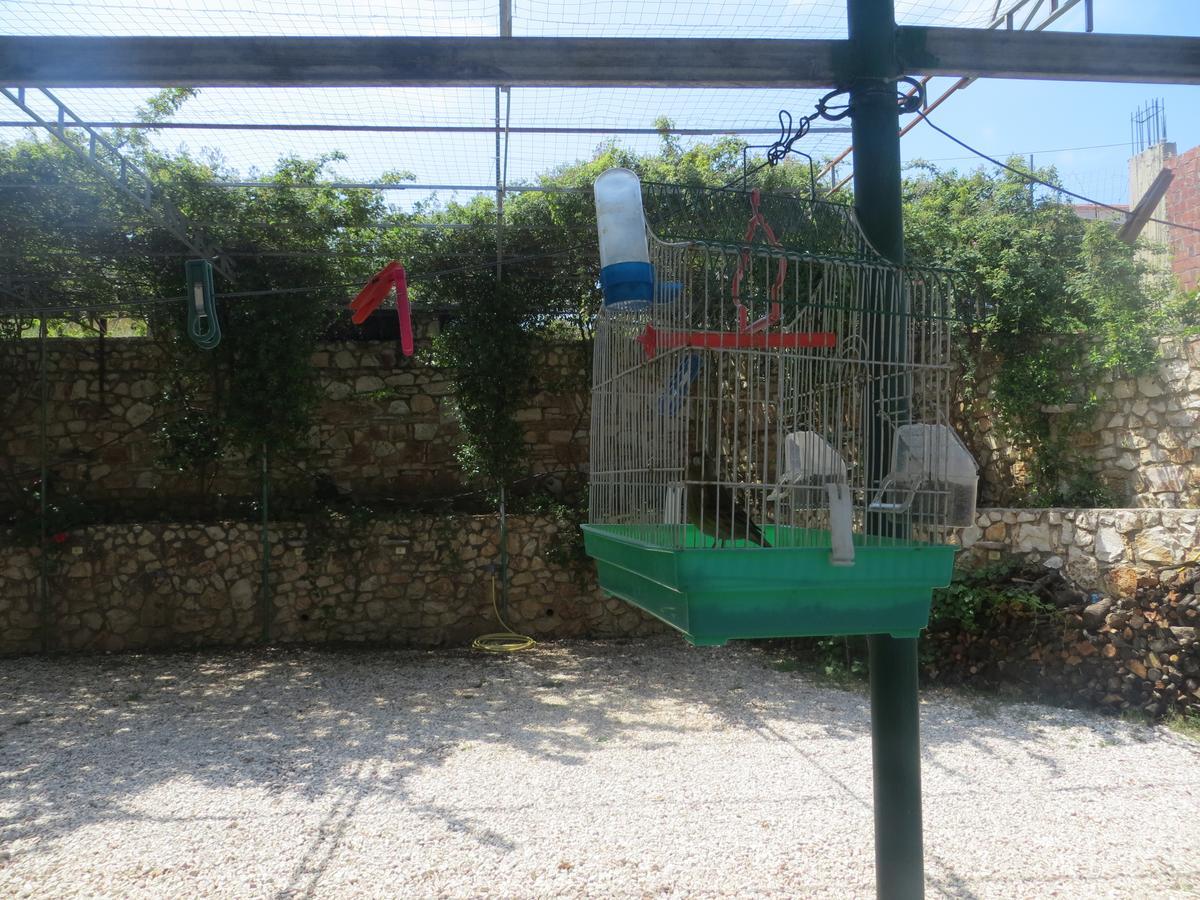 Apartments Cerro Ksamil Dış mekan fotoğraf
